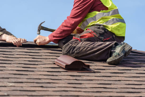 Roof Gutter Cleaning in La Plata, MO