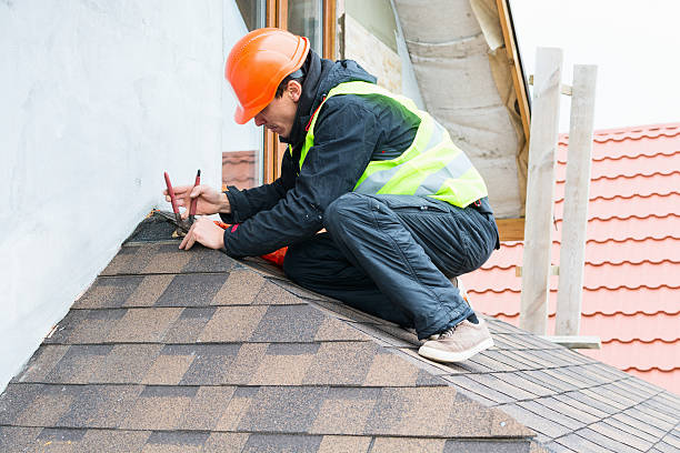 Best Metal Roofing Contractor  in La Plata, MO