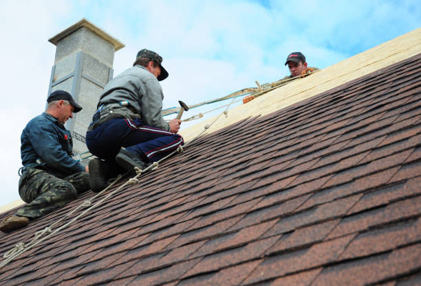 Best Roof Gutter Cleaning  in La Plata, MO
